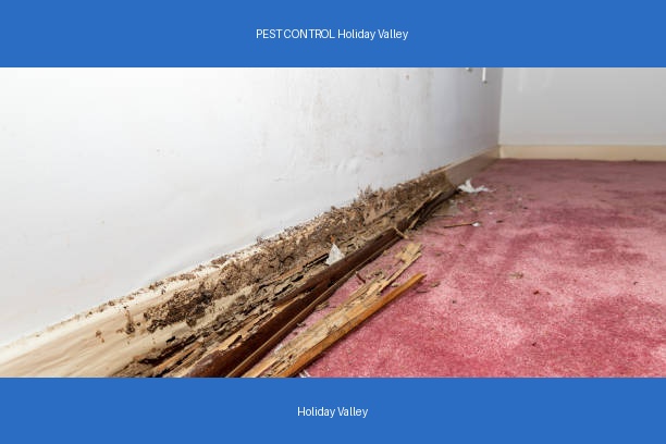 PEST CONTROL Holiday Valley